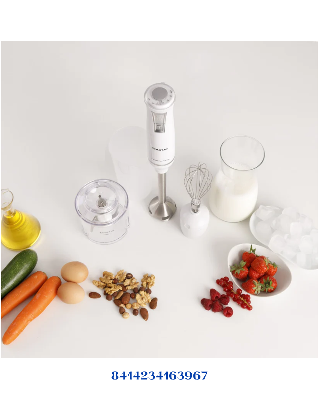 TAURUS BAPI 750 PURE PLUS INOX-750W