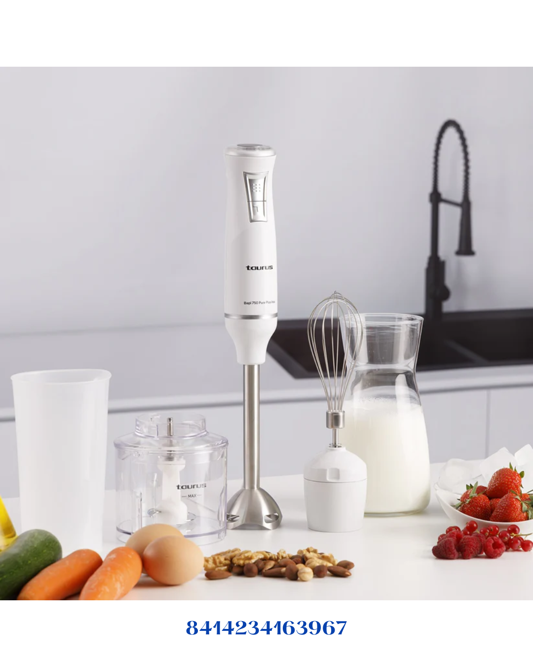 TAURUS BAPI 750 PURE PLUS INOX-750W