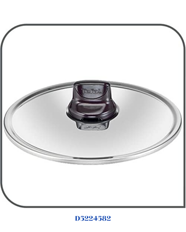 TEFAL RESIST INTENSE STEWPOT WITH GLASS LID 22CM