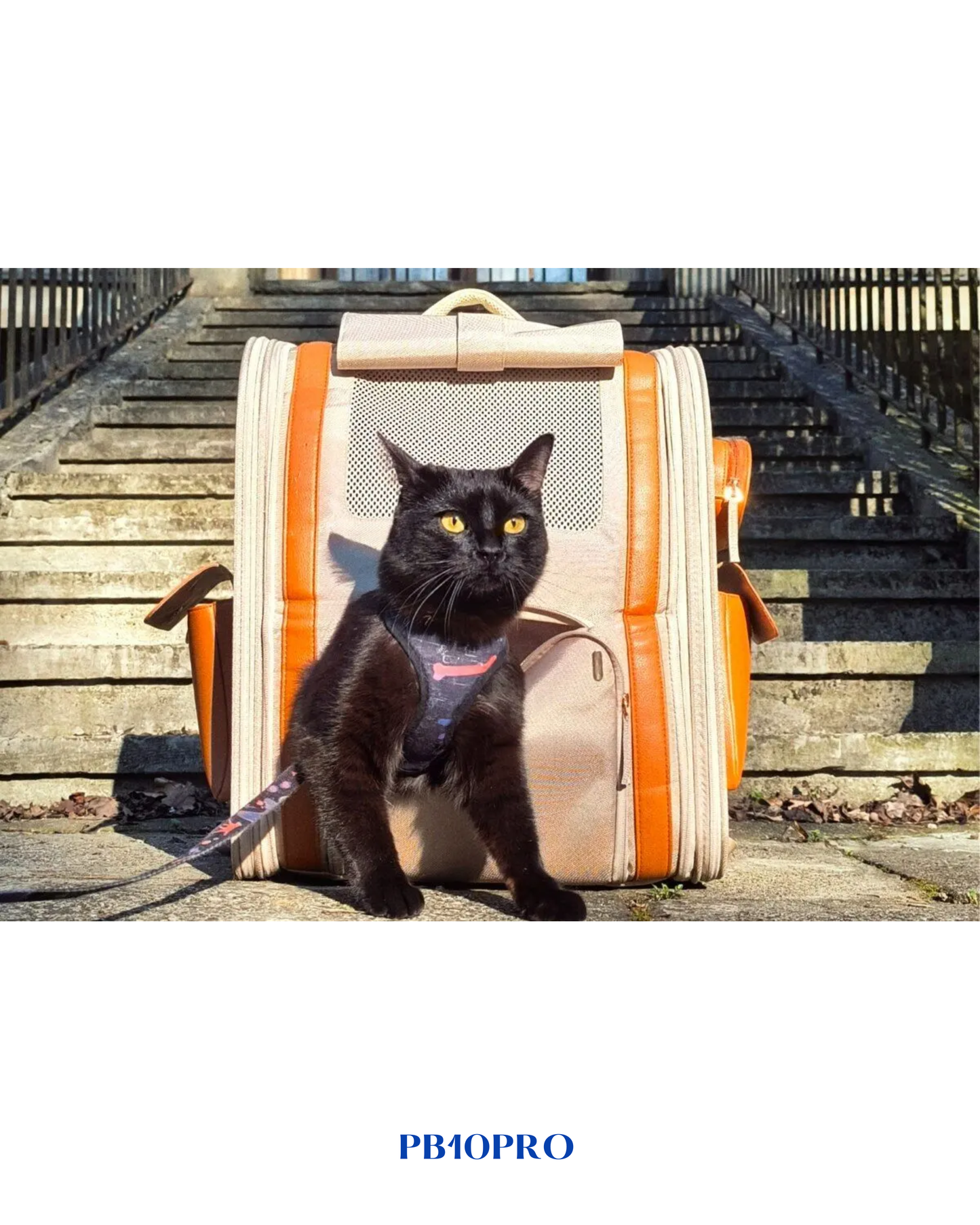 MOVA PET CARRY BAG PB10 PRO