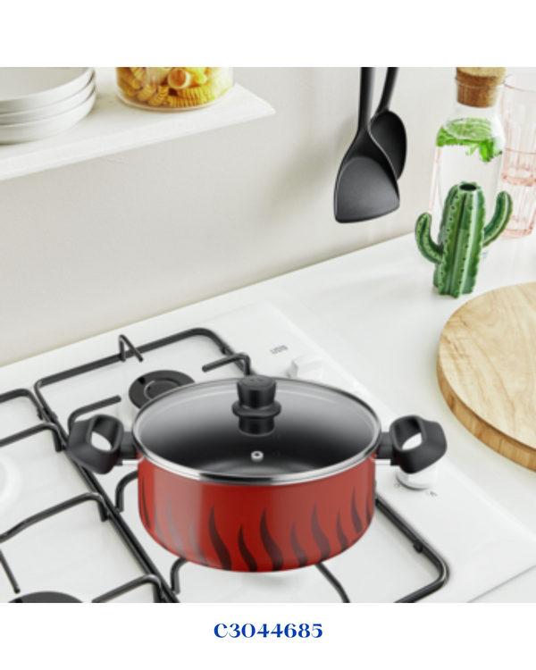 TEFAL TEMPO FLAME STEWPOT 24CM