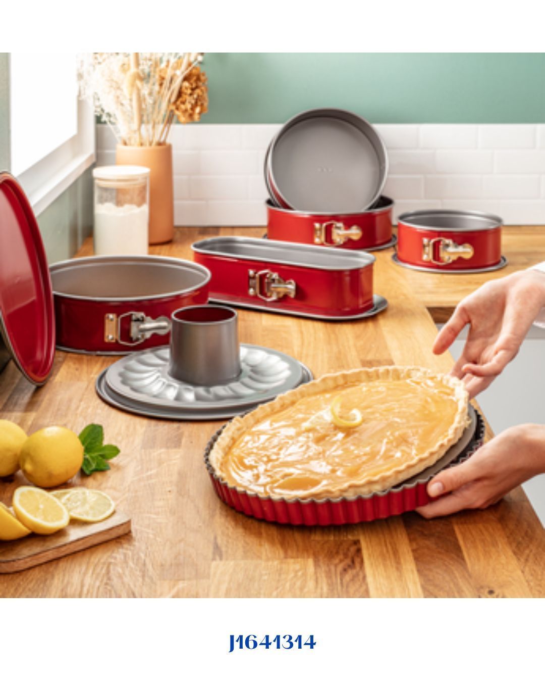 TEFAL DELIBAKE SPRINGFORM PAN 25 CM