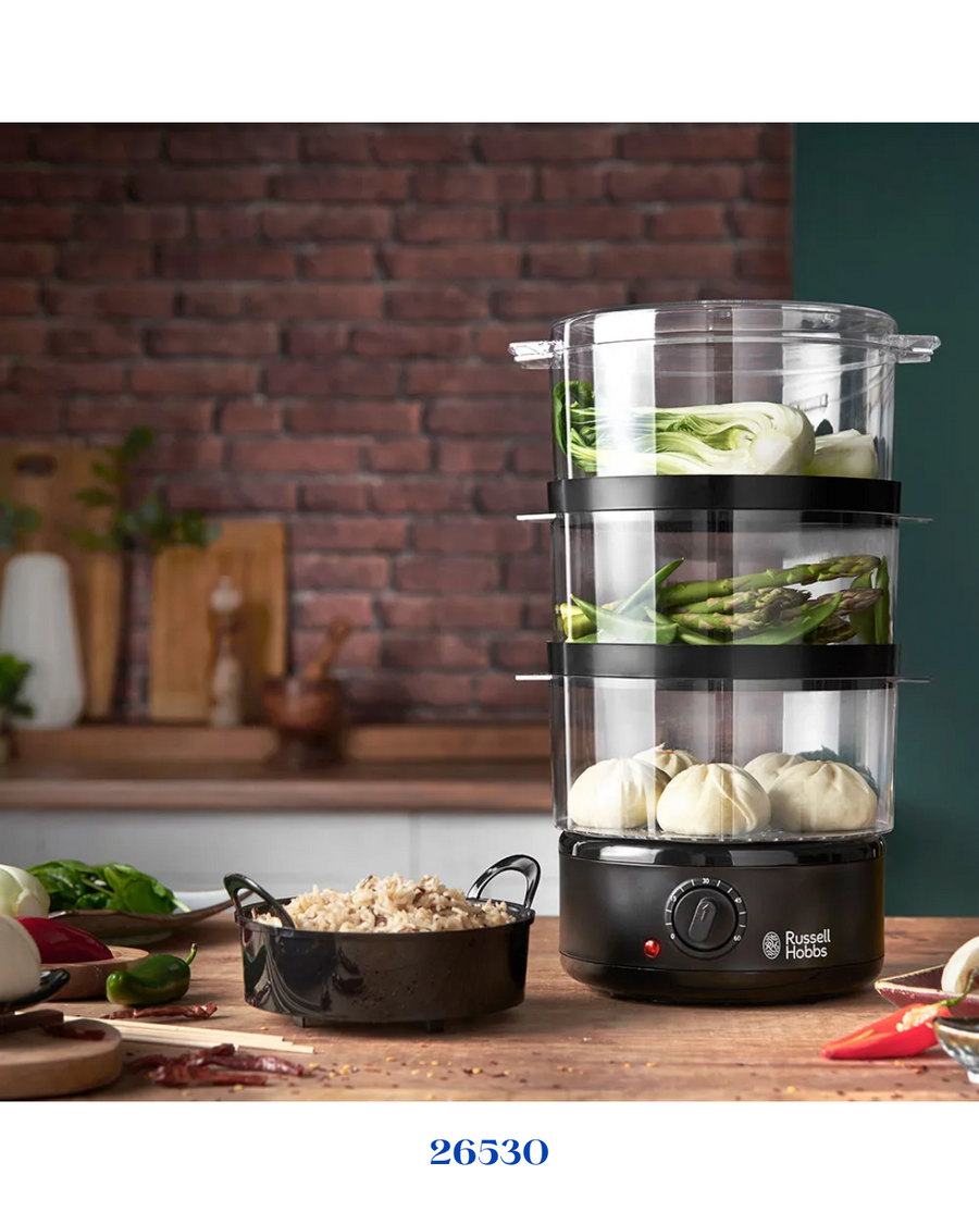 RUSSELL HOBBS COMPACT STEAMER_400W-7L
