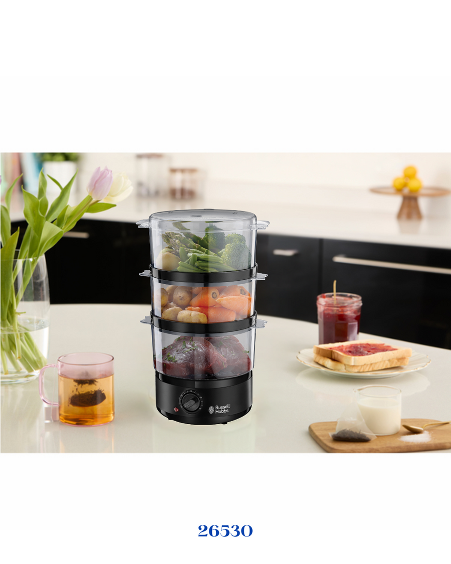RUSSELL HOBBS COMPACT STEAMER_400W-7L