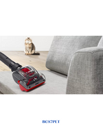 BOSCH BAGLESS VACUUM CLEANER PROANIMAL RED – 800W – 3L