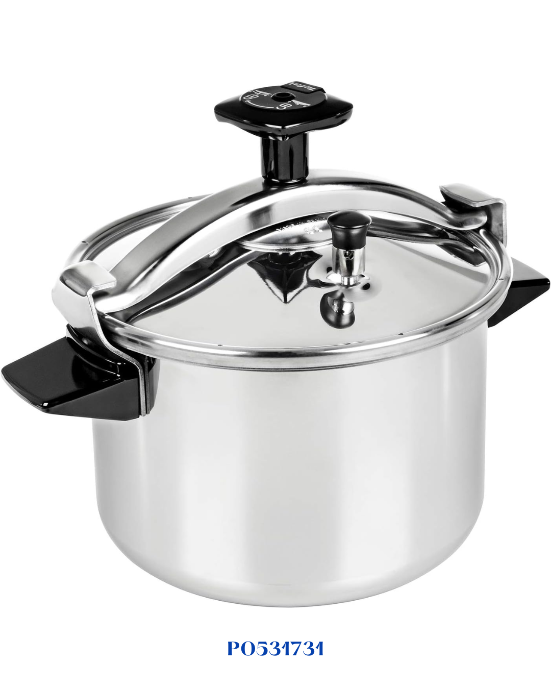 TEFAL AUTHENTIQUE PRESSURE COOKER  - 12L-قدر ضغط تيفال أوتانتيك