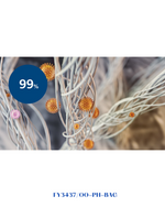 PHILIPS NANOPROTECT PRO S3 FILTER