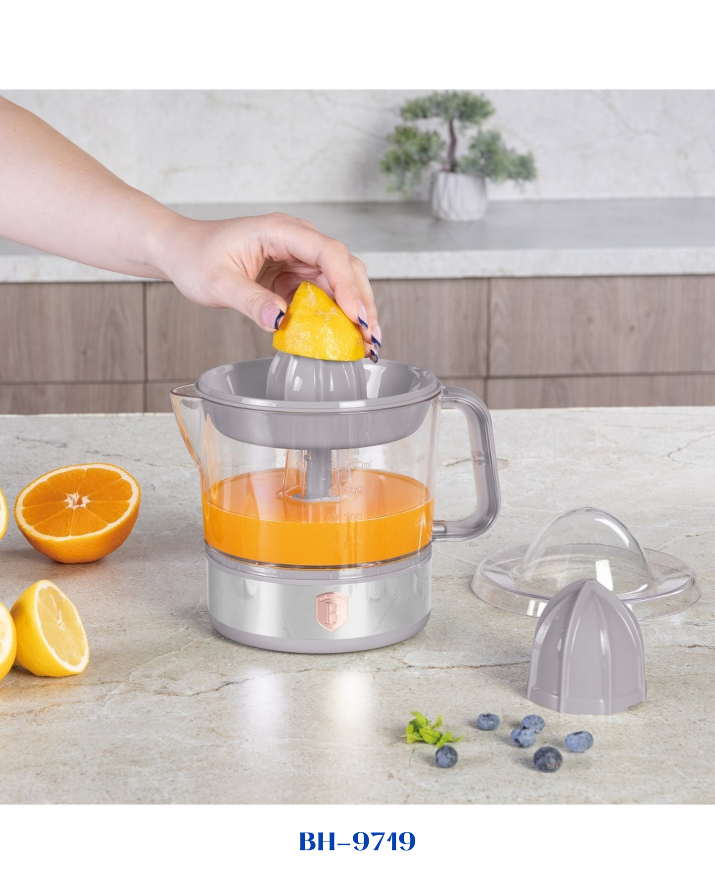 BERLINGER HAUS ELECTRIC CITRUS JUICER