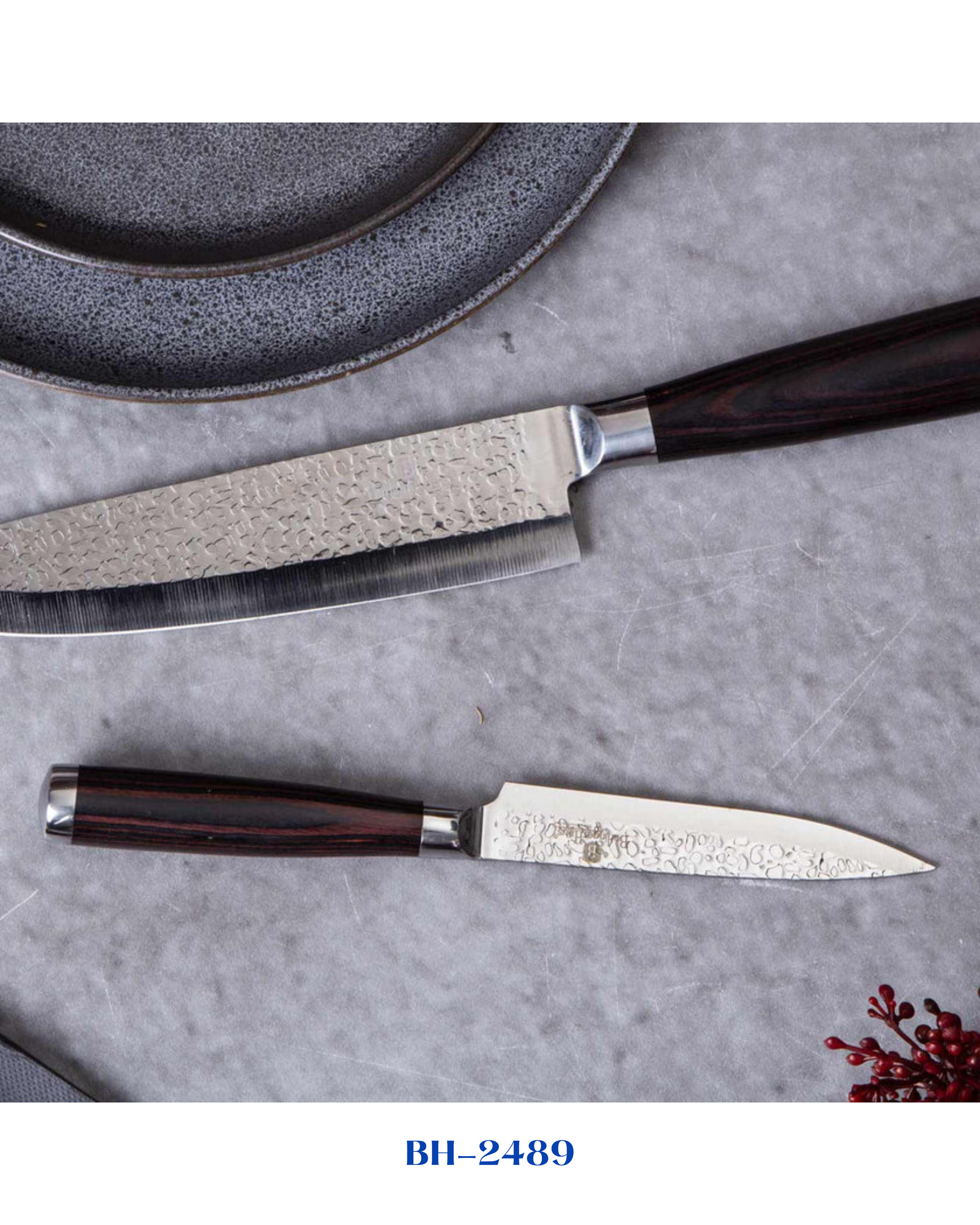 BERLINGER HAUS 2 PCS KNIFE SET