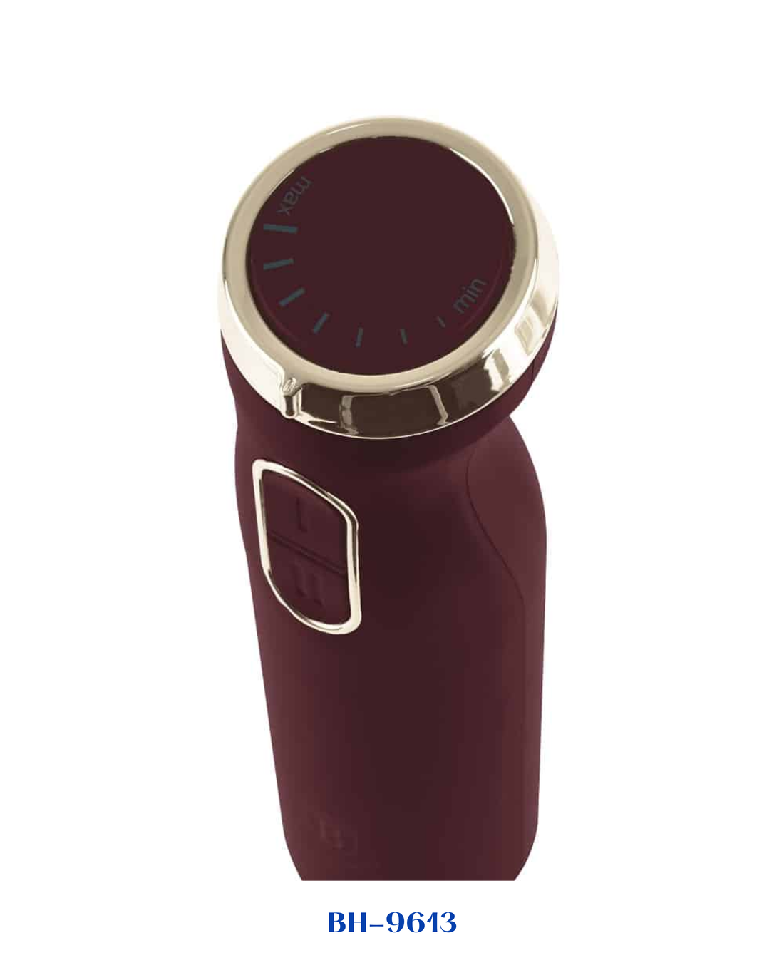 BERLINGER HAUS HAND BLENDER