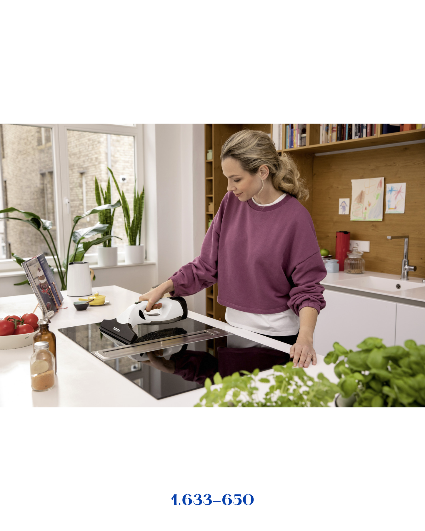 KARCHER WV 2 PLUS WINDOW VACUUM CLEANER