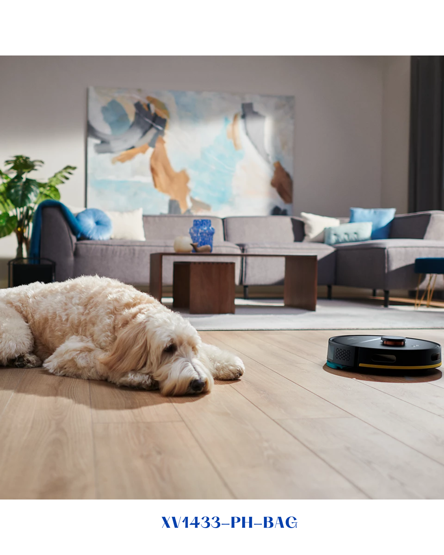 PHILIPS HOMERUN REPLACEMENT KIT
