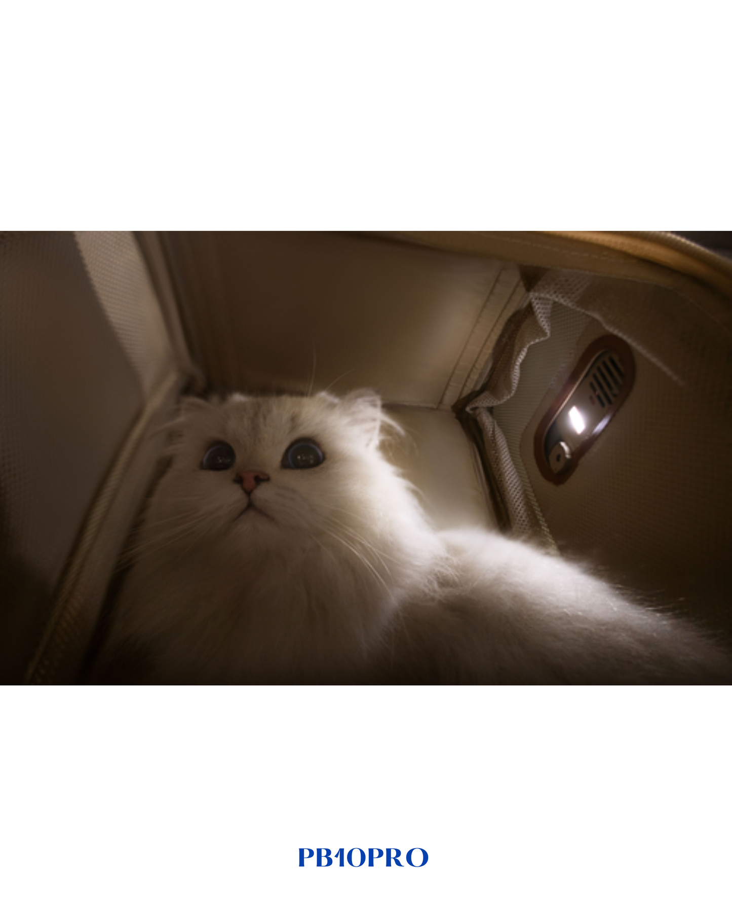 MOVA PET CARRY BAG PB10 PRO