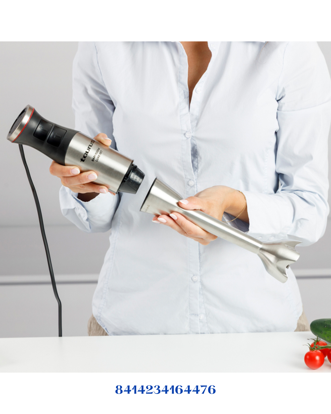 TAURUS HAND BLENDER BAPI 1500 LUXE SET 1500W
