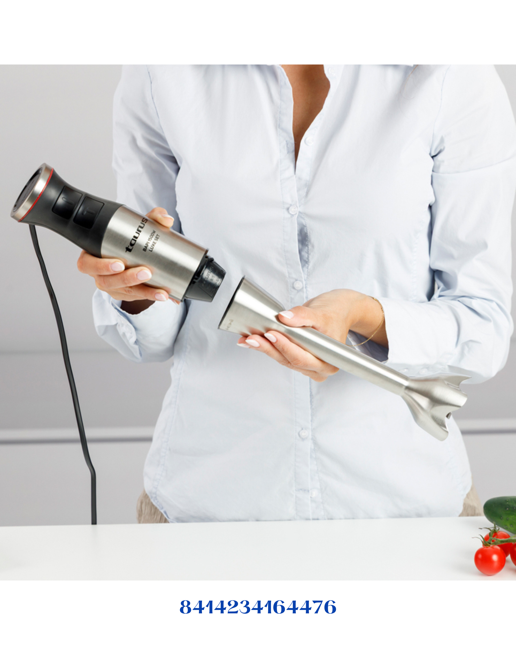 TAURUS HAND BLENDER BAPI 1500 LUXE SET 1500W
