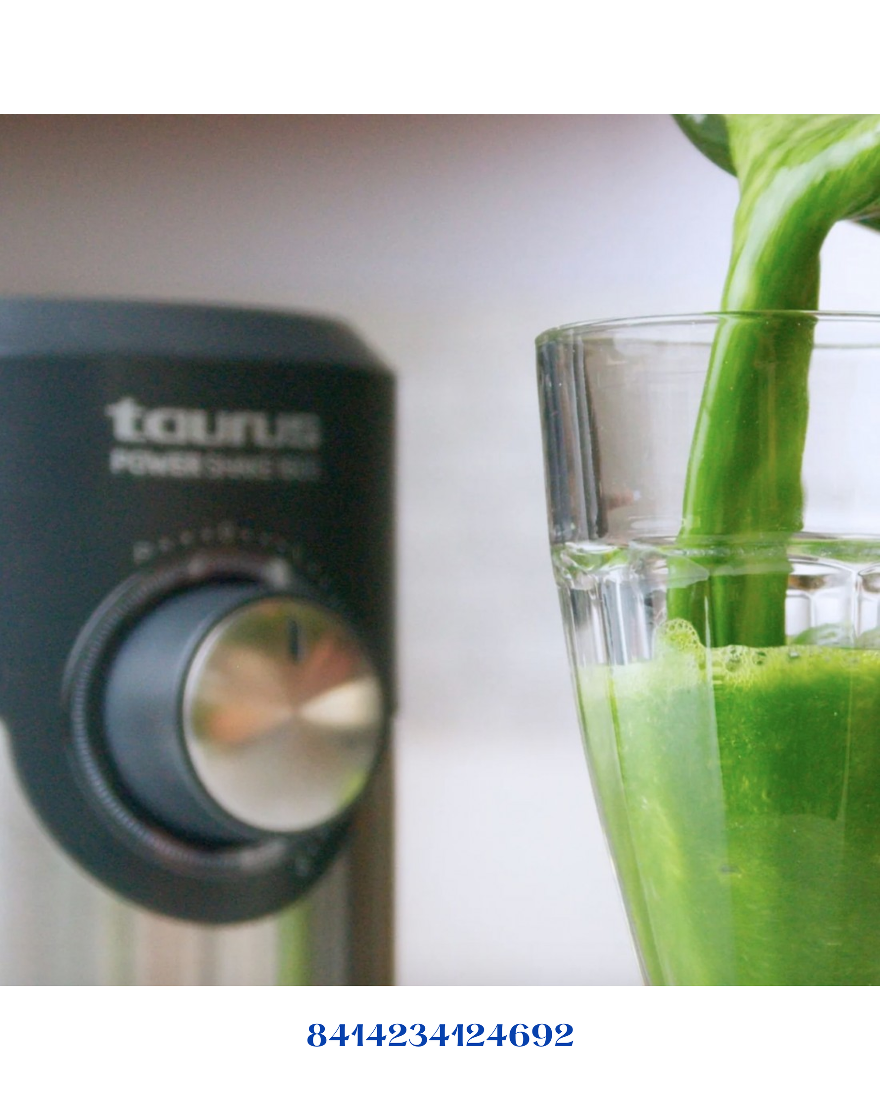 TAURUS BAPI HAND BLENDER 1000W