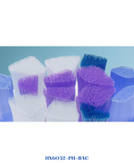 PHILIPS SONICARE SENSITIVE REPLACEMENT 2PACK